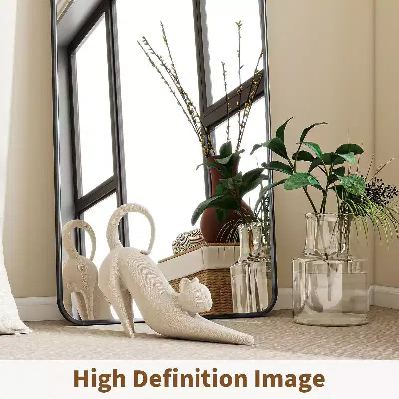 Miroir pleine longueur 66 x 23 avec coins arrondis